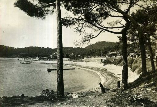 nartelle